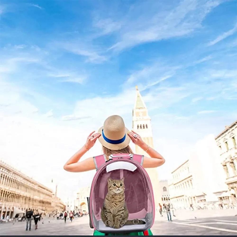 Pet Carrier Backpack Transparent