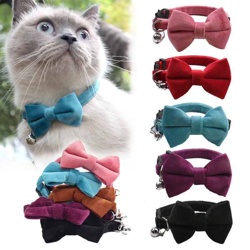 Velvet Collar with Bell