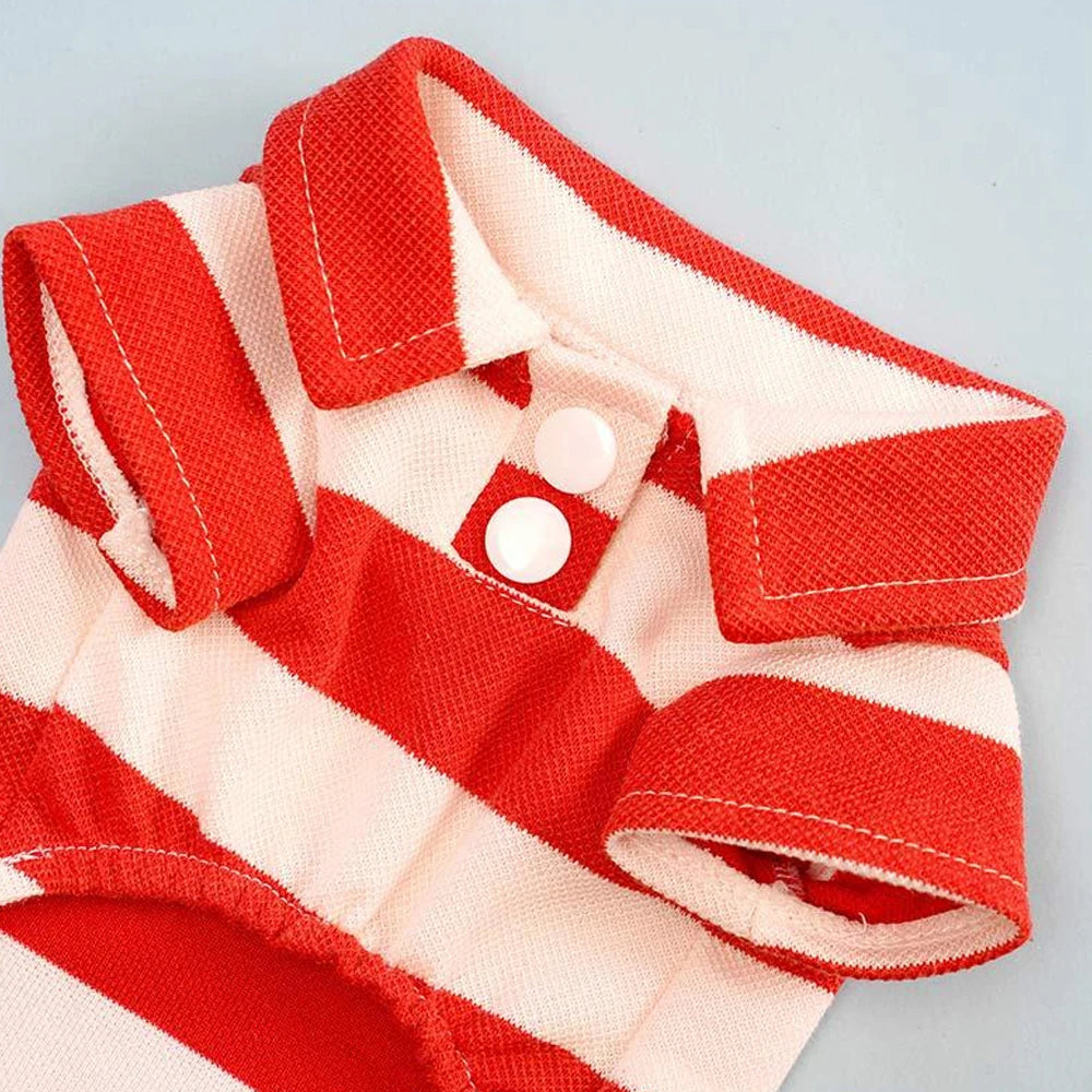 Summer Dog Clothes