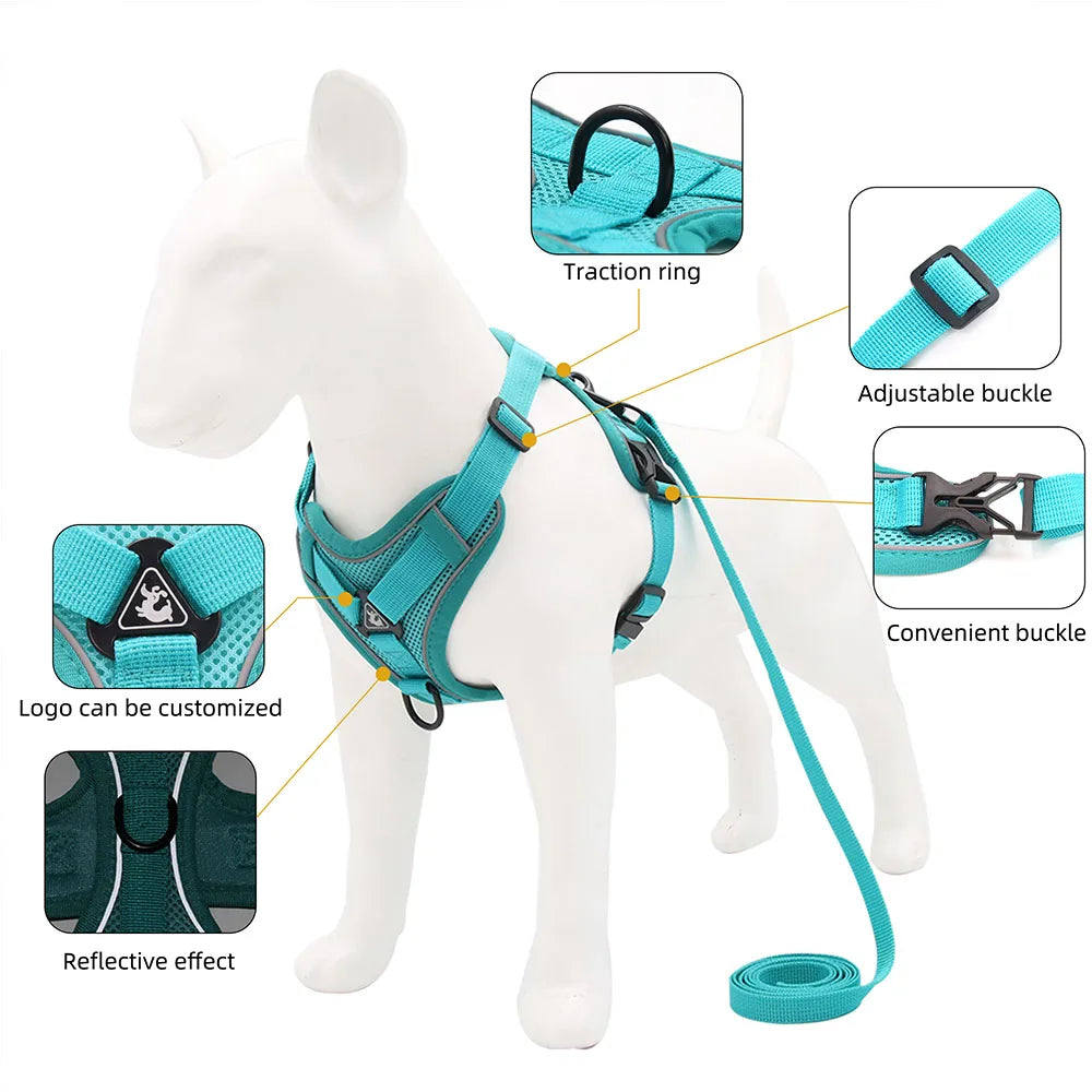 Traction Leash Set