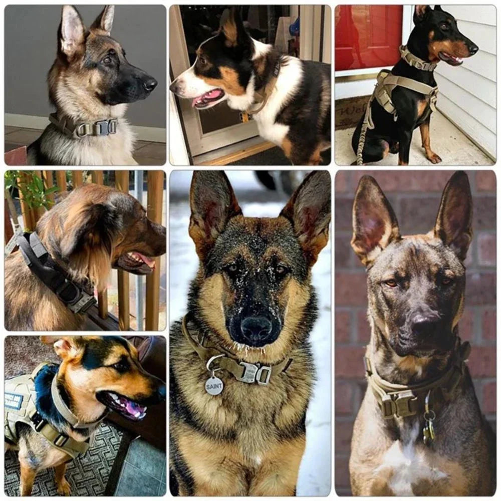 Dog Collar Leash and Harness Set