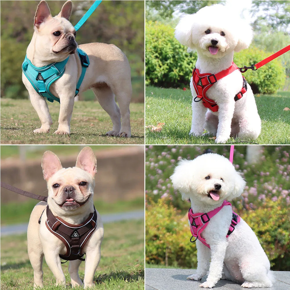 Traction Leash Set