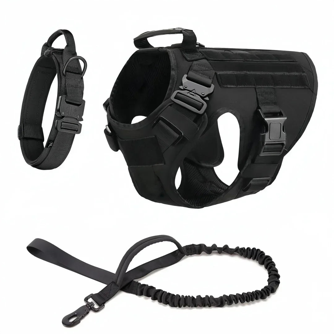 Dog Collar Leash and Harness Set