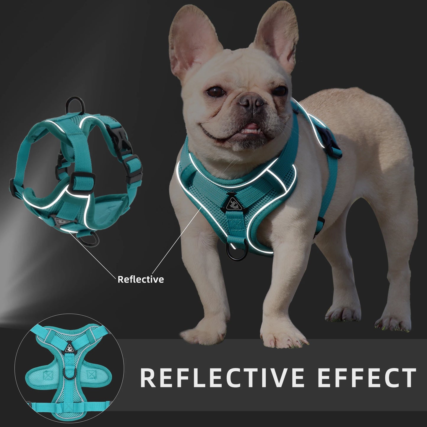 Traction Leash Set