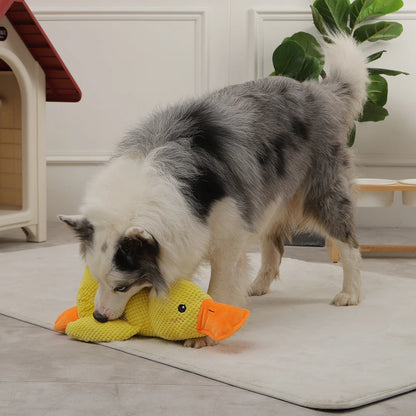 Duck Chew Sounding Toy