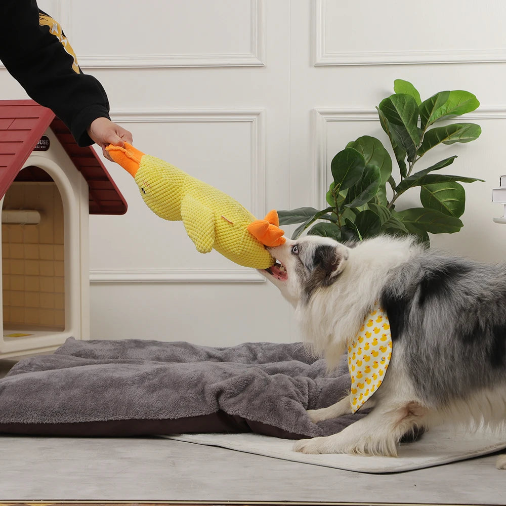 Duck Chew Sounding Toy