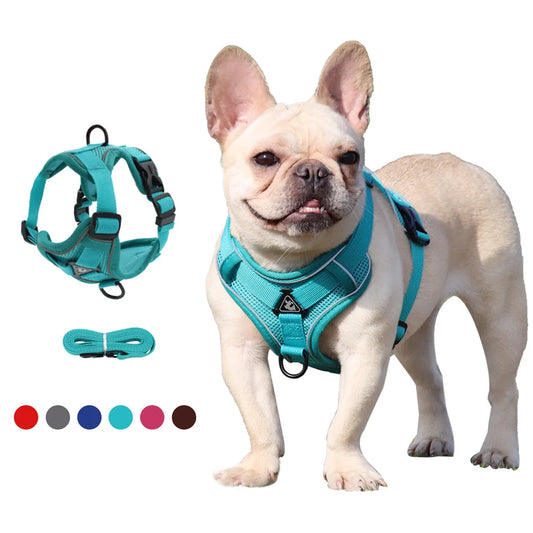 Traction Leash Set