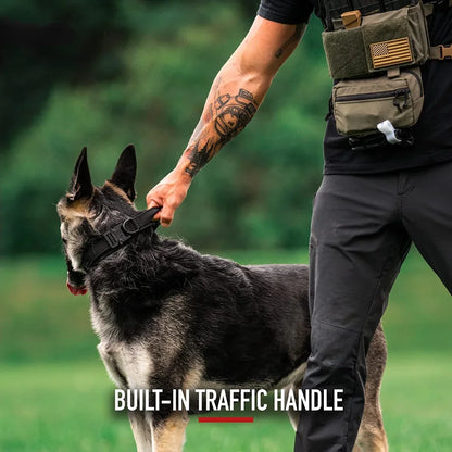 Dog Collar Leash and Harness Set