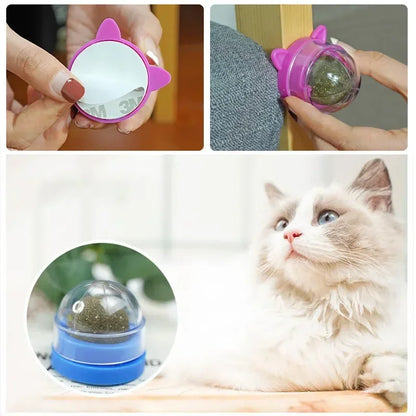 Catnip Wall Ball Toys