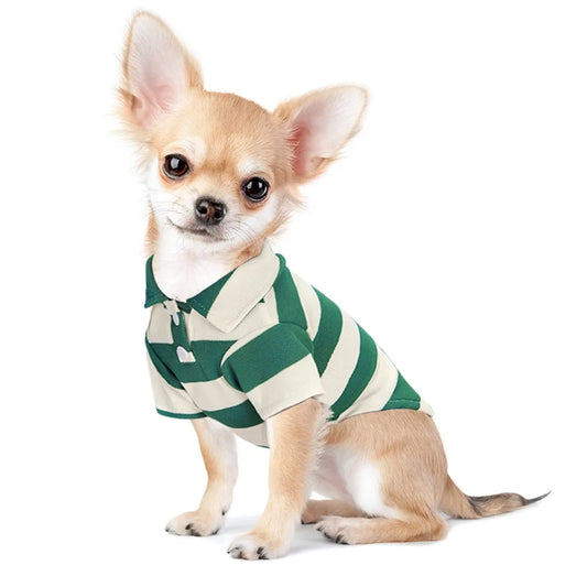 Summer Dog Clothes