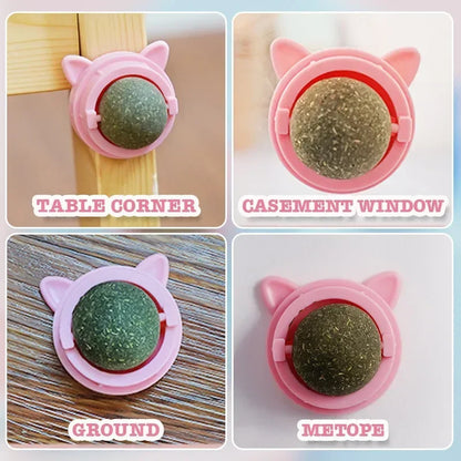 Catnip Wall Ball Toys