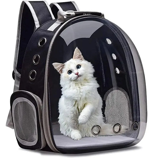 Pet Carrier Backpack Transparent