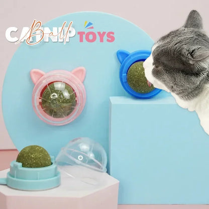 Catnip Wall Ball Toys