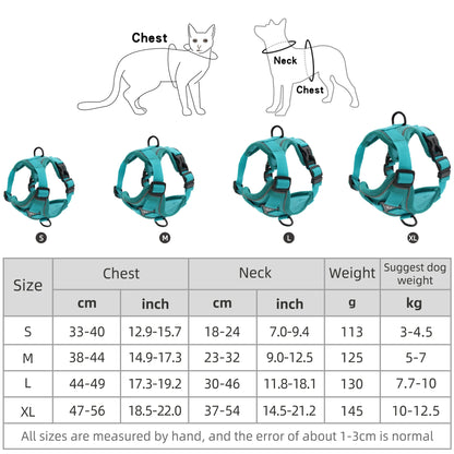 Traction Leash Set