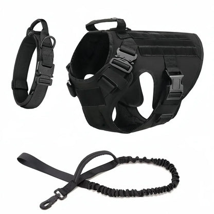 Dog Collar Leash and Harness Set